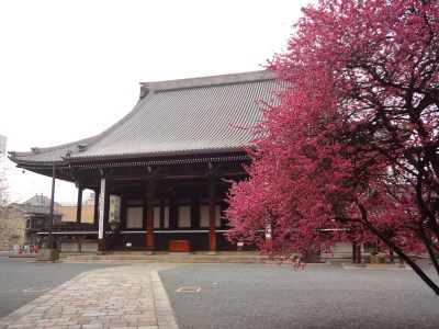 本山興正寺_御影堂01