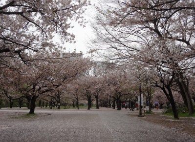 大阪城公園_南外崛11