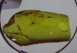 dluga-street_executioners-house-prison-tower_amber-museum-07-2