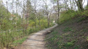 beethovengang-03