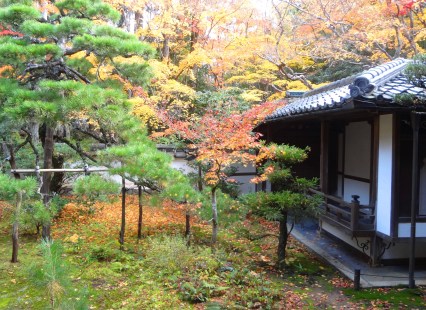 %e5%a4%a7%e5%be%b7%e5%af%ba_%e9%ab%98%e6%a1%90%e9%99%a245