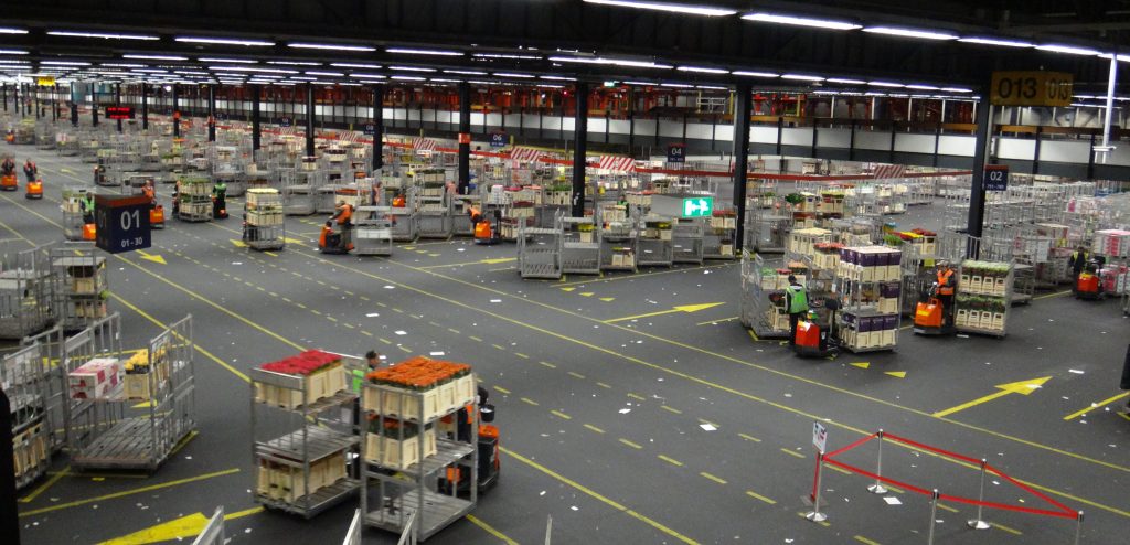 史上第一次金融泡沫──都是鬱金香惹的禍？！